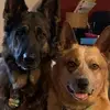 melodydotson60 - @melodydotson60 - TikTok