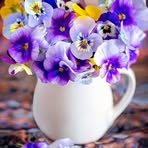 Melody Dowling - Facebook