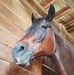 Melody Valerie Dunn - Facebook