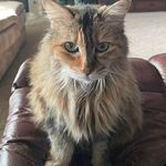 Melody Engle Walker - @melody_3312 - Instagram