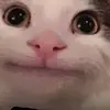 melodygarrison90 - @melodygarrison90 - TikTok