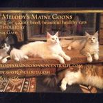 Melody Gast - @melody.gast - Instagram