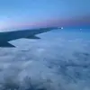 melodiegoetz93 - @melodiegoetz93 - TikTok