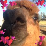Melody Hale - @melody.hale.9 - Instagram