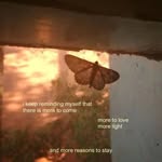 Melody Hamilton - @melody.hamilton.no - Instagram
