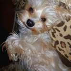 Melody Hamilton - Facebook