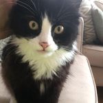 Erica Melody Hamm Brenne - @erica_hammbrenne - Instagram