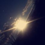 melody haney - @i_like_avacadoes_ - Instagram