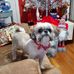 Melody Hardwick Medley - Facebook