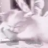 🌸<3🌸 - @0.melody..high.0 - TikTok