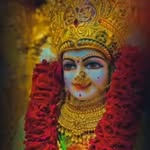 ટાઈગરસોપ 📿મેલડી 📿 - @melody_high_court__3m - Instagram