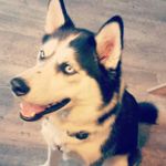 melody howe - @squishyody835 - Instagram