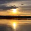 melody hulse - @melody.hulse1 - TikTok