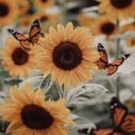 Melody Hunt - @who.is.melody_h - Instagram