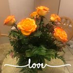 Melody Thompson Irwin - @gator_girl_mel - Instagram