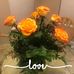 Melody Thompson Irwin - Facebook