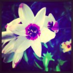 Melody Jacobson - @melzy214 - Instagram