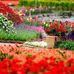 Melody Jacobson - Facebook