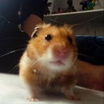 Melody-joyce🇭🇷 - @melody_12032 - Instagram