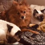 Melody Kessler - @kessler4497 - Instagram