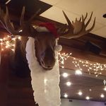 Melody Lang - @melmav1265 - Instagram