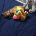 Melody Lang - Facebook
