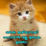 വിവേക് വിവേക് - @melodylarkin03jw - Instagram