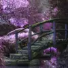 melody&lilly - @fairy.melody8lily - TikTok