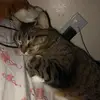 Luke - @dumb.luke.melody - TikTok