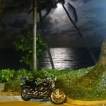 Luke Melody - @lukemelody2516 - Instagram