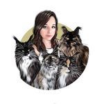 Euphoric Melody~Maine Coon 🇨🇵 - @euphoricmelody_mainecoon - Instagram