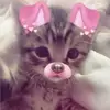 🎀🎀 - @melodymarquez70 - TikTok