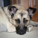 Melody McBride - @graciejanesplace - Instagram