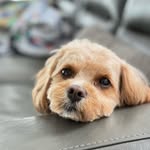 Melody McCormack - @mellody_land - Instagram