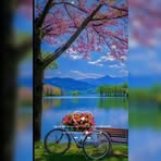 Melody Mckenzie - Facebook