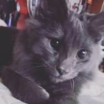 Melody McLeod - @melody_mcleod1975 - Instagram