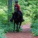 Melody Messer - Facebook