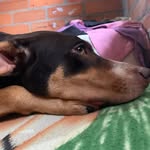 Melody  Molina - @melody.molina.14 - Instagram
