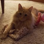 Melody Otto - @melody.otto.311 - Instagram
