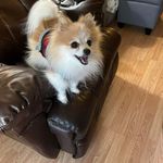 Melody Owens - @melodyowens58 - Instagram