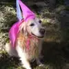 Melody Patey - @melody.patey - TikTok