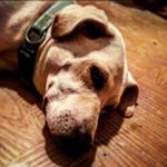 Melody Pierce - @melody_p2007 - Instagram