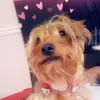 MelodyPierce - @mellodypiercee - TikTok