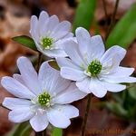 Melody Ann Post - @postshutterphotography - Instagram