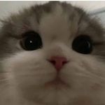 Post ( ◜‿◝ )♡ - @_melody_postingss_ - Instagram