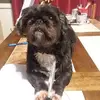 Melody Powers - @melodypowers2 - TikTok