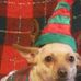 Melody Puckett - Facebook