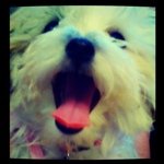 Melody Pyle - @i_am_a_jellyfish - Instagram