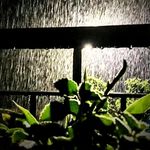 🖤Rehan🖤 - @__melody_rain__ - Instagram