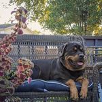 @melody.ramey - Instagram